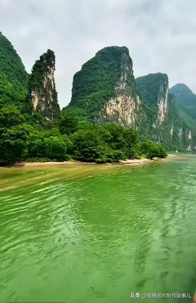 寻找迷路的松鼠